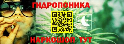 трава Тара