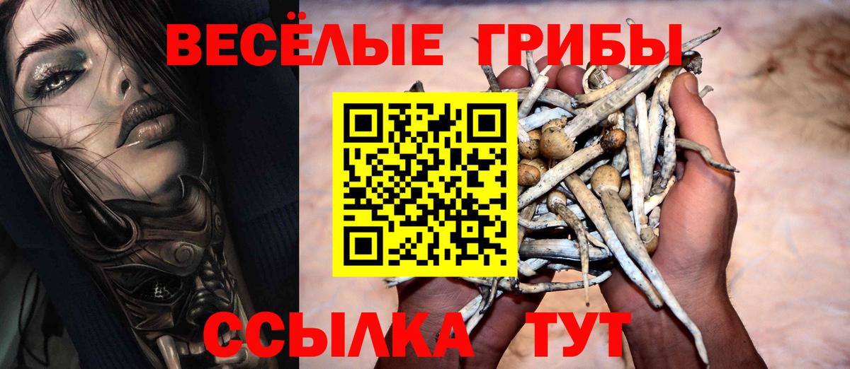 Кузнецк  Псилоцибиновые грибы ЛСД  Вход с VPN 