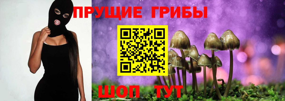 Псилоцибиновые грибы мухоморы Кузнецк